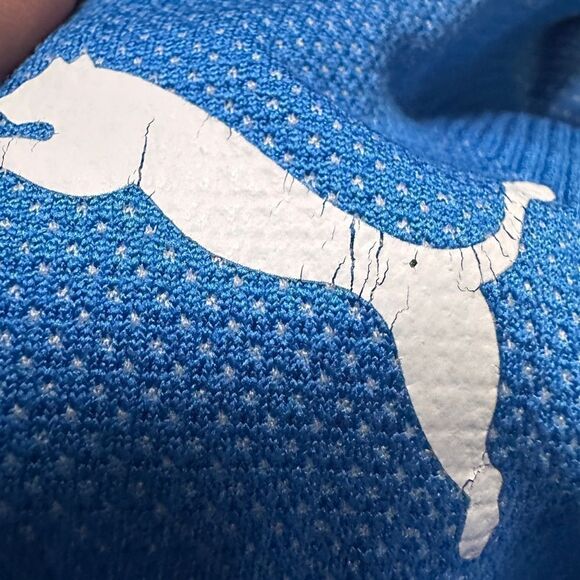 Puma Charlotte Soccer Academy
Blue Jersey, Kids' Size Small - Picture 11 of 17